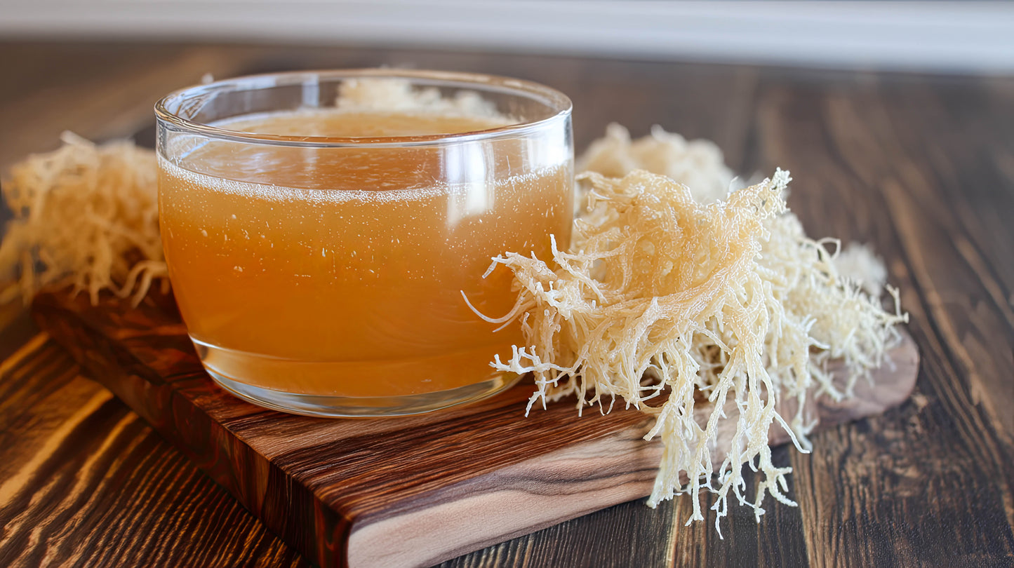 Organic Sea Moss Gel | Wildcrafted Sea Moss | 92 Minerals